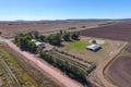 Property photo of 950 Boundary Road Leeton NSW 2705