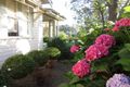 Property photo of 17 Adams Street Bemboka NSW 2550