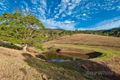 Property photo of 52 Macadamia Drive Laceys Creek QLD 4521