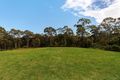 Property photo of 19 Neridah Road Belmont North NSW 2280