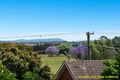 Property photo of 38 Northcott Avenue East Maitland NSW 2323