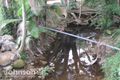 Property photo of 3 Gorge View Crescent Mossman Gorge QLD 4873