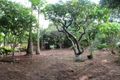 Property photo of 61 Avon Road Pymble NSW 2073