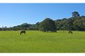 Property photo of 204 Mountain View Road Maleny QLD 4552