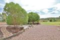 Property photo of 21 Carol Anne Court Regency Downs QLD 4341