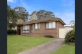 Property photo of 20 Randall Avenue Minto NSW 2566