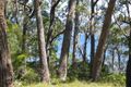 Property photo of 21 Lake Drive Swanhaven NSW 2540