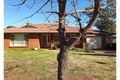 Property photo of 99 Websdale Drive Dubbo NSW 2830