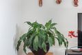 Property photo of 106/100 Nicholson Street Brunswick East VIC 3057