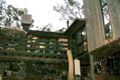 Property photo of 25 Dene Road Highbury SA 5089
