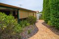 Property photo of 12 Alphitonia Crescent Sunnybank Hills QLD 4109