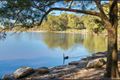 Property photo of 14 Binalong Avenue Allambie Heights NSW 2100