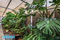 Property photo of 6 The Avenue Sunshine West VIC 3020