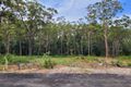Property photo of 24 Fred Avery Drive Buttaba NSW 2283