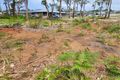 Property photo of 24 Fred Avery Drive Buttaba NSW 2283