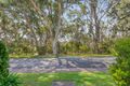 Property photo of 19 Reid Avenue Aberfoyle Park SA 5159