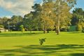 Property photo of 209 Hardwood Road Landsborough QLD 4550