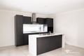 Property photo of 11 Lunar Circuit Spring Mountain QLD 4300