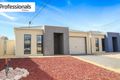 Property photo of 3 The Centre Way Mildura VIC 3500