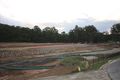 Property photo of 24 Carnarvon Drive Beerwah QLD 4519