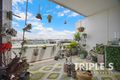 Property photo of 2606/55 Wilson Street Botany NSW 2019
