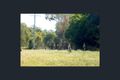 Property photo of 84 Wilson Drive Agnes Water QLD 4677