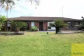 Property photo of 19 Jacaranda Drive Georges Hall NSW 2198