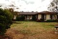 Property photo of 20 Gwydir Terrace Bingara NSW 2404