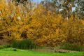 Property photo of 60 Alston Road Blakiston SA 5250