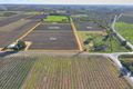 Property photo of 16 Puddletown Road Barmera SA 5345