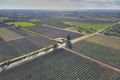 Property photo of 16 Puddletown Road Barmera SA 5345