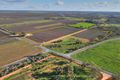 Property photo of 16 Puddletown Road Barmera SA 5345