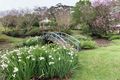 Property photo of 33 Grasstree Road Eumundi QLD 4562