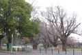 Property photo of 804/133-143 Jolimont Road East Melbourne VIC 3002
