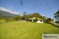 Property photo of 452 Syndicate Road Miallo QLD 4873