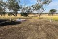 Property photo of 242 Ehrlich Road Linthorpe QLD 4356