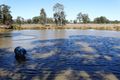 Property photo of 1479 Beelbee Road Beelbee QLD 4406
