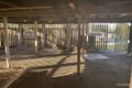 Property photo of 148 Denham Terrace Allenstown QLD 4700