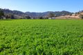 Property photo of 1097 Nundle Road Piallamore NSW 2340