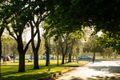 Property photo of 9 Alexandra Avenue Rose Park SA 5067