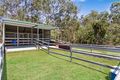 Property photo of 163 Avalon Road Sheldon QLD 4157