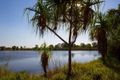 Property photo of 28 Thomson Street Durack NT 0830