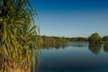 Property photo of 28 Thomson Street Durack NT 0830