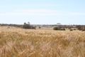 Property photo of LOT 9 Back Beach Road Streaky Bay SA 5680