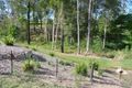 Property photo of 87-93 Sumsion Road Wamuran QLD 4512