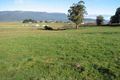 Property photo of 2179 Mole Creek Road Mole Creek TAS 7304