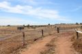 Property photo of LOT 3 Christmas Road Grass Valley WA 6403