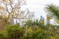 Property photo of 4/22 Armadale Street St Lucia QLD 4067