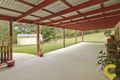 Property photo of 19 River Gum Close Mooloolah Valley QLD 4553
