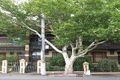 Property photo of 214 Williams Road Toorak VIC 3142